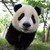 :icon4evermegerz: