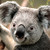 :icon4gerardo4: