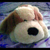 :icon4m0rph0us-831ngs: