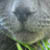:icon4magenta4: