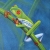 :icon4mschief: