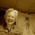 :icon4orc: