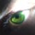 :icon4rch3r: