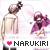 :icon4rtiishm3hliif3: