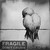 :icon4scotlandthebrave: