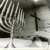 :icon4the-ambient-light: