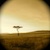 :icon4the-ambient-light: