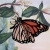 :icon4theraine: