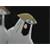 :icon4thraikage:
