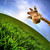 :icon4voodoodoll: