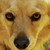:icon4x31w01f5414z4r: