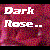:icon518dark-rose: