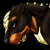 :icon537405:
