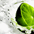 :icon547: