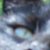 :icon550coffeecreams: