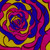 :icon55t14: