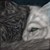 :icon572717: