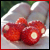 :icon5berries4u: