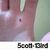 :icon5cott-13ird: