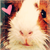 :icon5hazz: