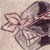 :icon5ilas: