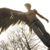 :icon5imon7887: