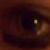 :icon5onic5hadow: