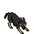 :icon5tarfoxx: