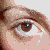 :icon5thwheel: