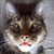 :icon5utok: