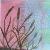 :icon60stardust09: