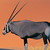 :icon61326132: