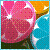:icon629shootingstar: