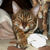 :icon666feline: