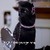 666pyrocharmedgirl :icon666pyrocharmedgirl: