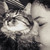 :icon66poisongirl99: