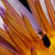 :icon675-night: