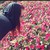 :icon6bloo6freak6: