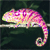 :icon6cooler9: