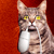:icon6dedalus9: