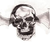 :icon6indestructible66: