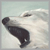 :icon6jack66: