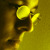 :icon6o0z3: