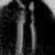:icon6oncalo: