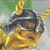 :icon6tailedwolf: