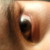 :icon73370: