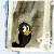 :icon785785: