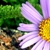 :icon785785: