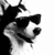 :icon789it789: