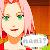 :icon7---videl---7: